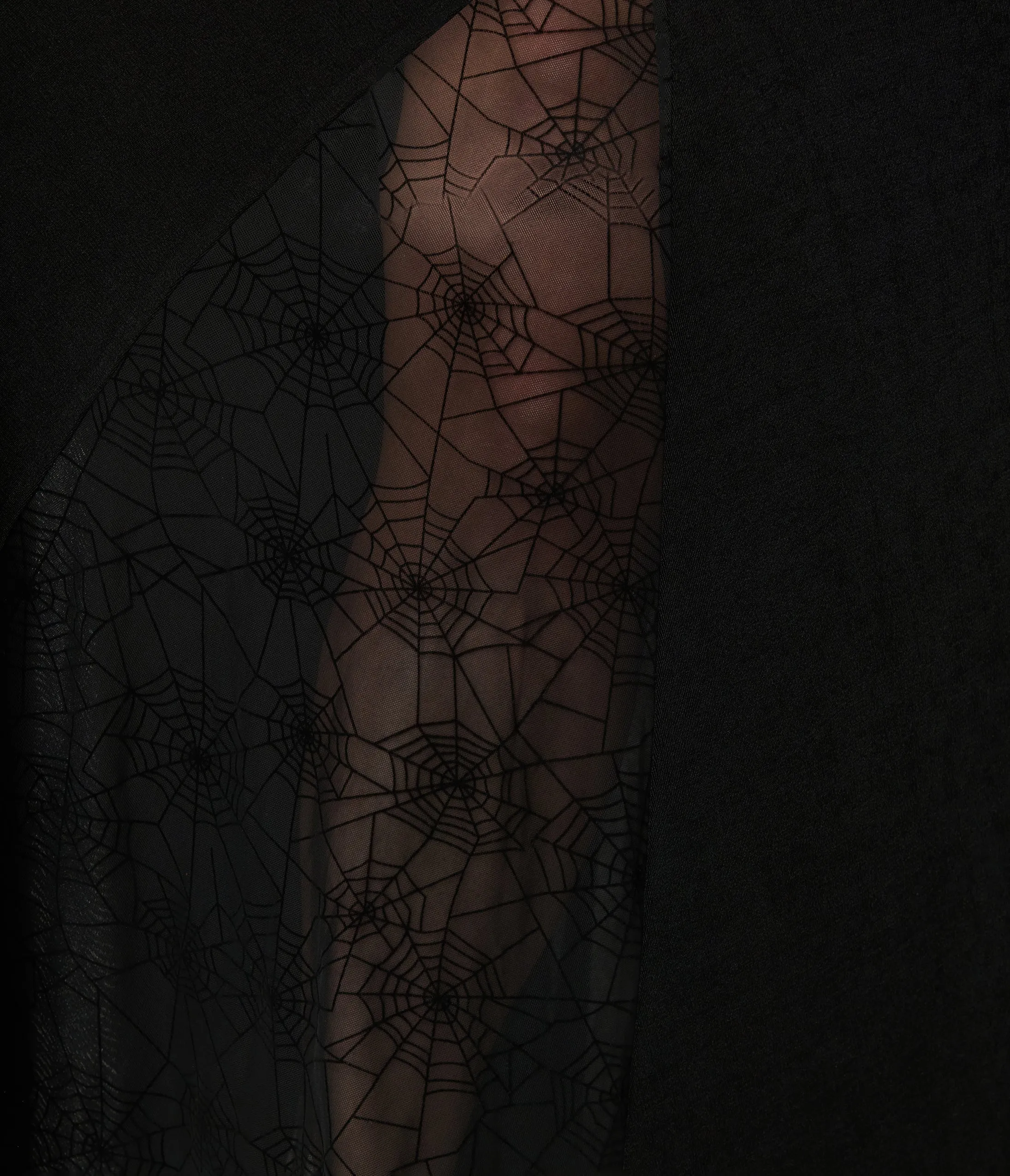 Unique Vintage Plus Size Black Sheer Spiderweb Godet Maxi Dress sold by Unique Vintage product image thumbnail 5