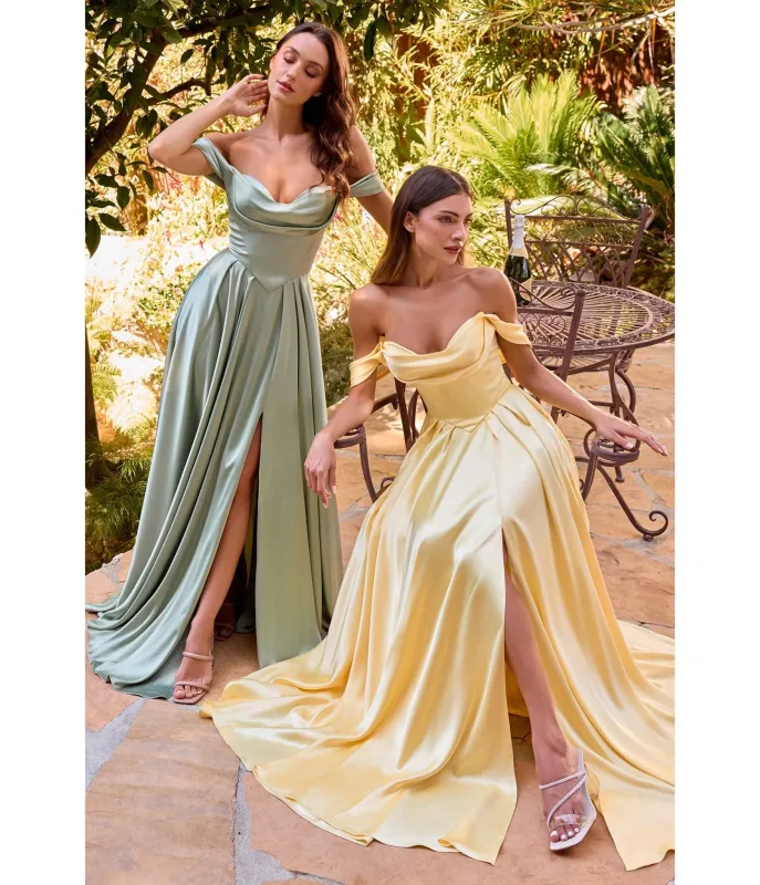 LaDivine by Cinderella Divine Sage Satin Off-Shoulder Pleated Neck Gown sold by Unique Vintage