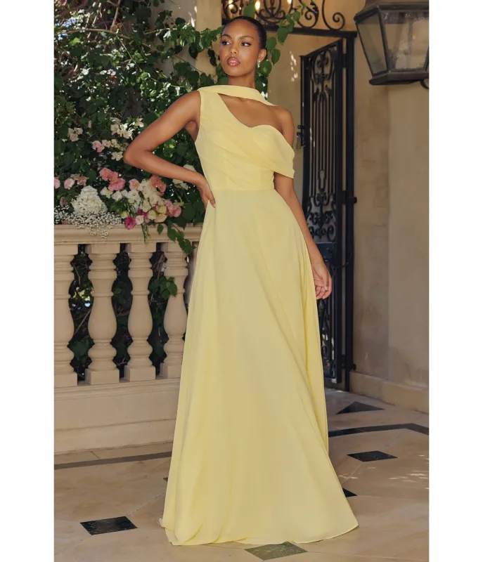 LaDivine by Cinderella Divine Light Yellow Draped Neck Mother-of-the-Bride Gown with Cape Sleeve sold by Unique Vintage