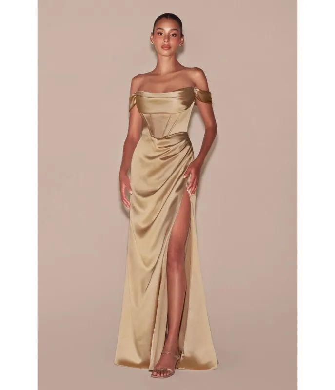 LaDivine by Cinderella Divine Champagne Satin Off-Shoulder Pleated Neck Gown sold by Unique Vintage