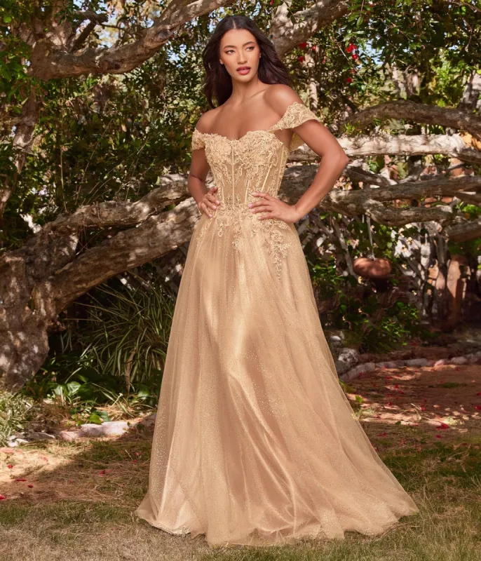 Cinderella Divine  Champagne Gold Glitter Lace & Tulle Embellished Off The Shoulder Prom Gown sold by Unique Vintage