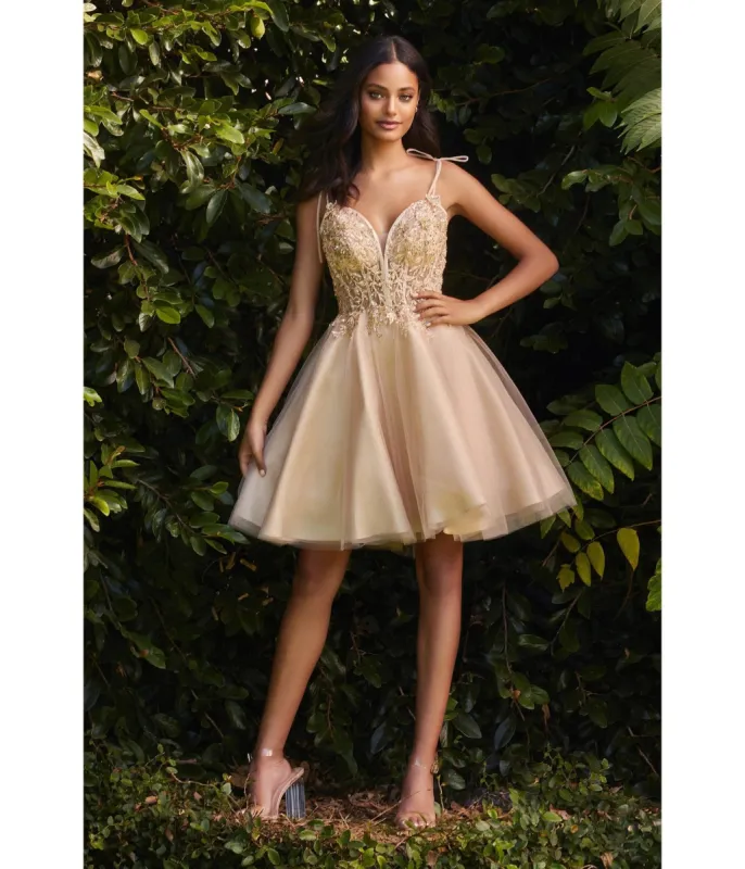 Cinderella Divine  Champagne Tulle & Corset Applique Mini Prom Dress sold by Unique Vintage