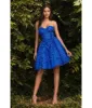 Cinderella Divine Royal Blue Glitter Tulle & Floral Applique Teacup Dress sold by Unique Vintage