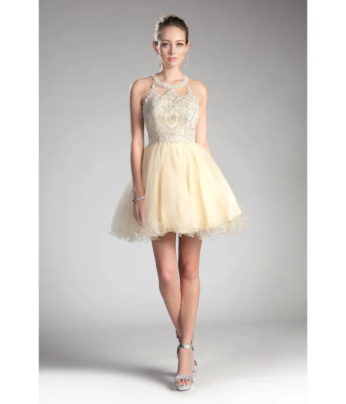 Cinderella Divine  Champagne Beaded Lace Ballerina Homecoming Dress sold by Unique Vintage