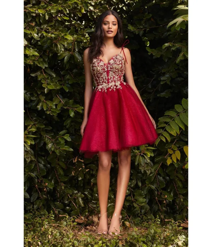 Ladivine by Cinderella Divine Burgundy & Gold Tulle & Corset Applique Mini Prom Dress sold by Unique Vintage