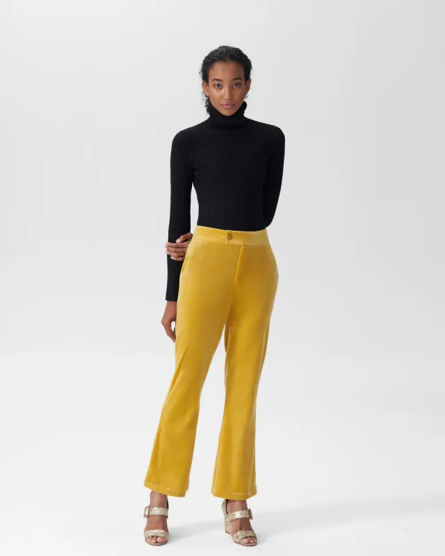Farrah Velvet Pants - Gold sold by Universal Standard