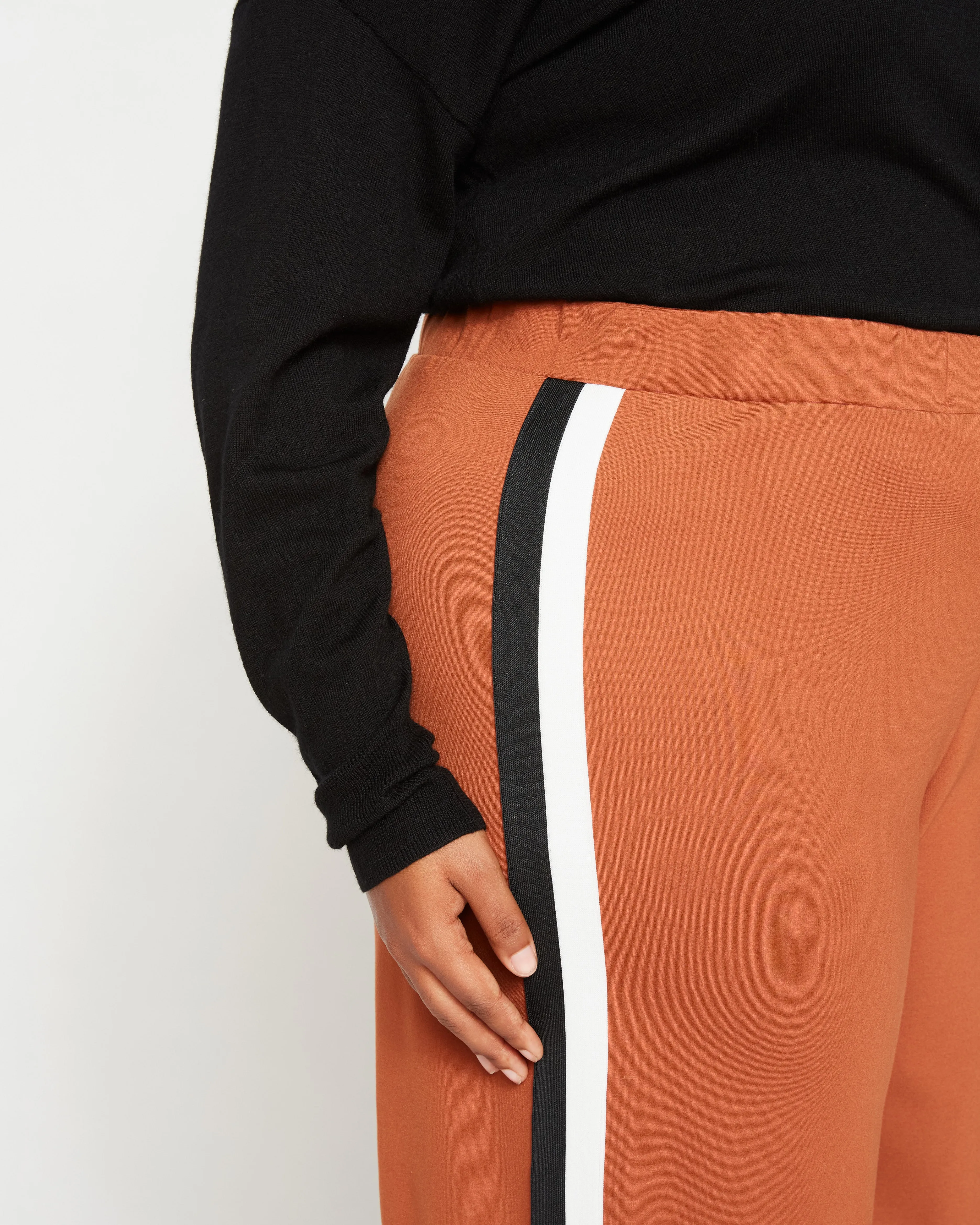 Stephanie Wide Leg Stripe Ponte Pants 30 Inch - Ginger with Black/White Stripe sold by Universal Standard product image thumbnail 3