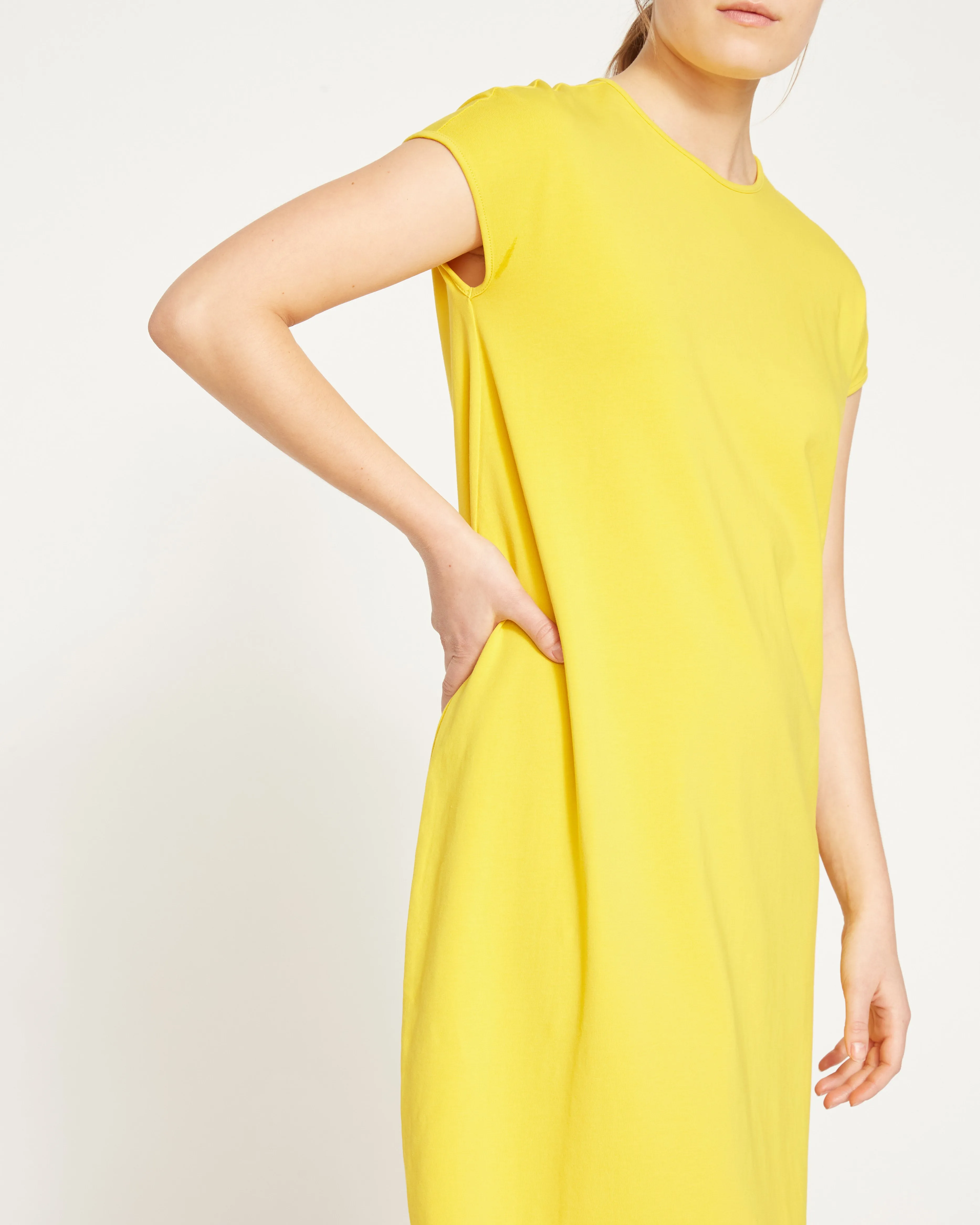 Iconic Geneva Dress - Yellow sold by Universal Standard product image thumbnail 3
