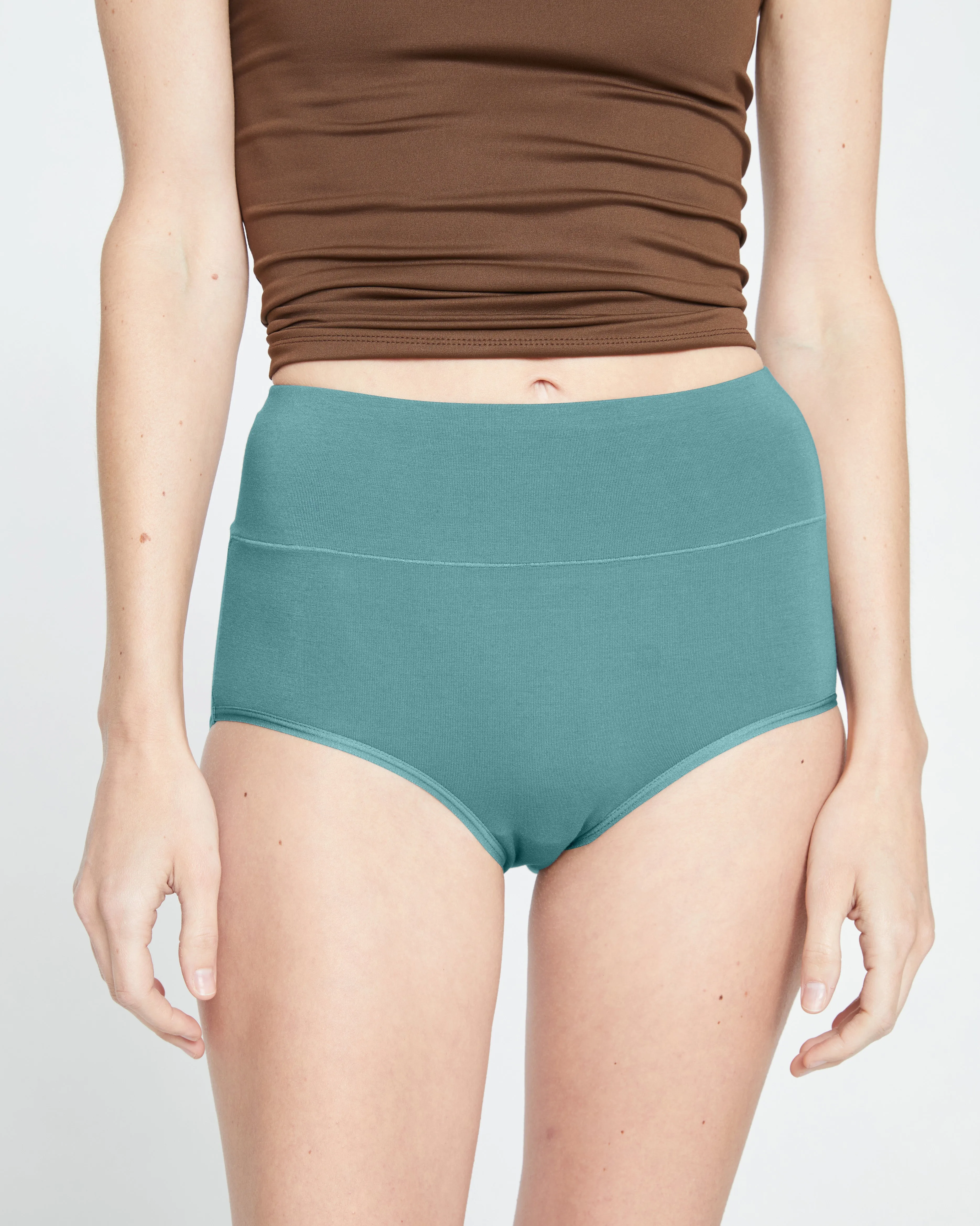 UltimateS Full Coverage High Rise Brief - Libertas sold by Universal Standard