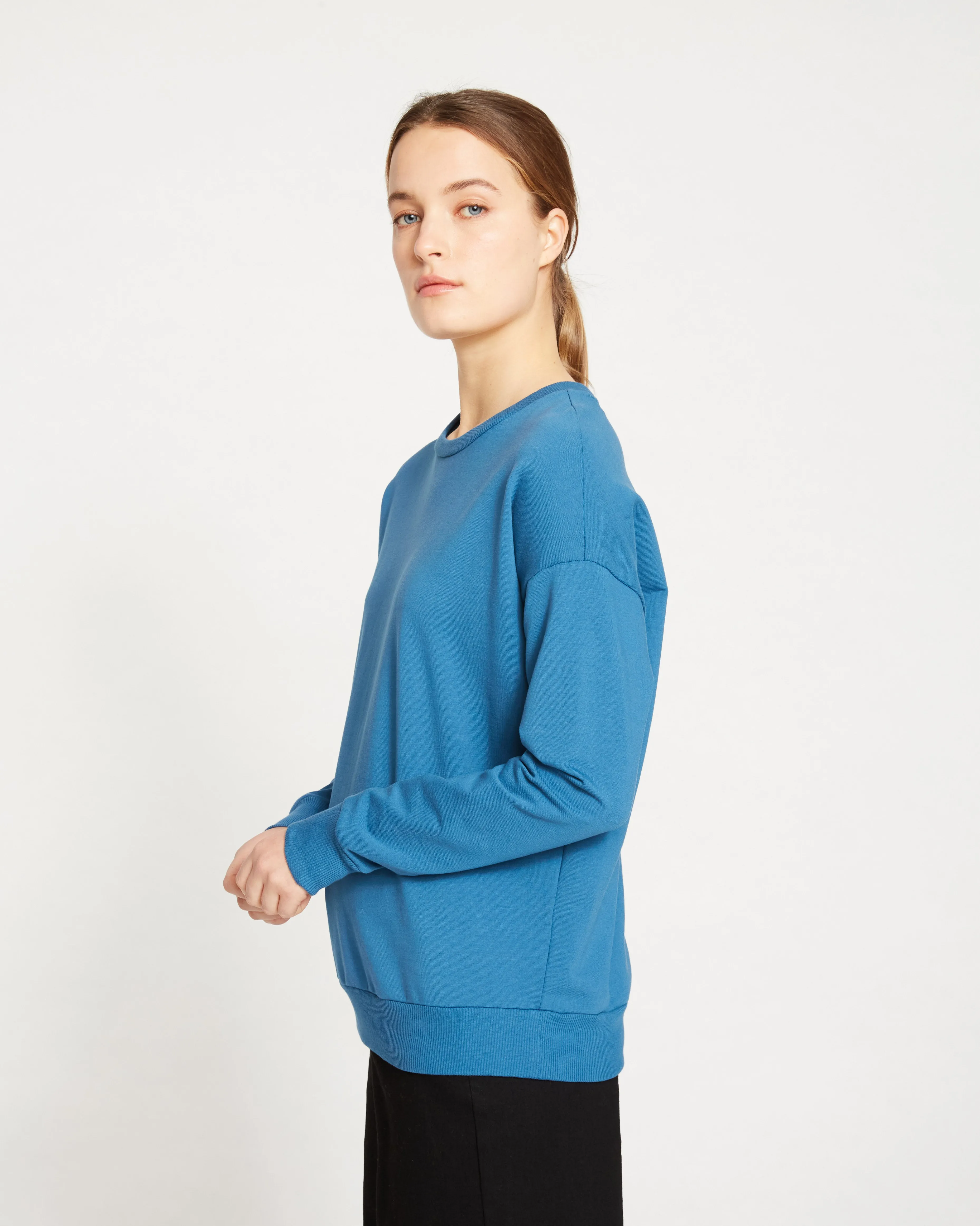Lauren Classic Sweatshirt - Cerulean sold by Universal Standard product image thumbnail 3