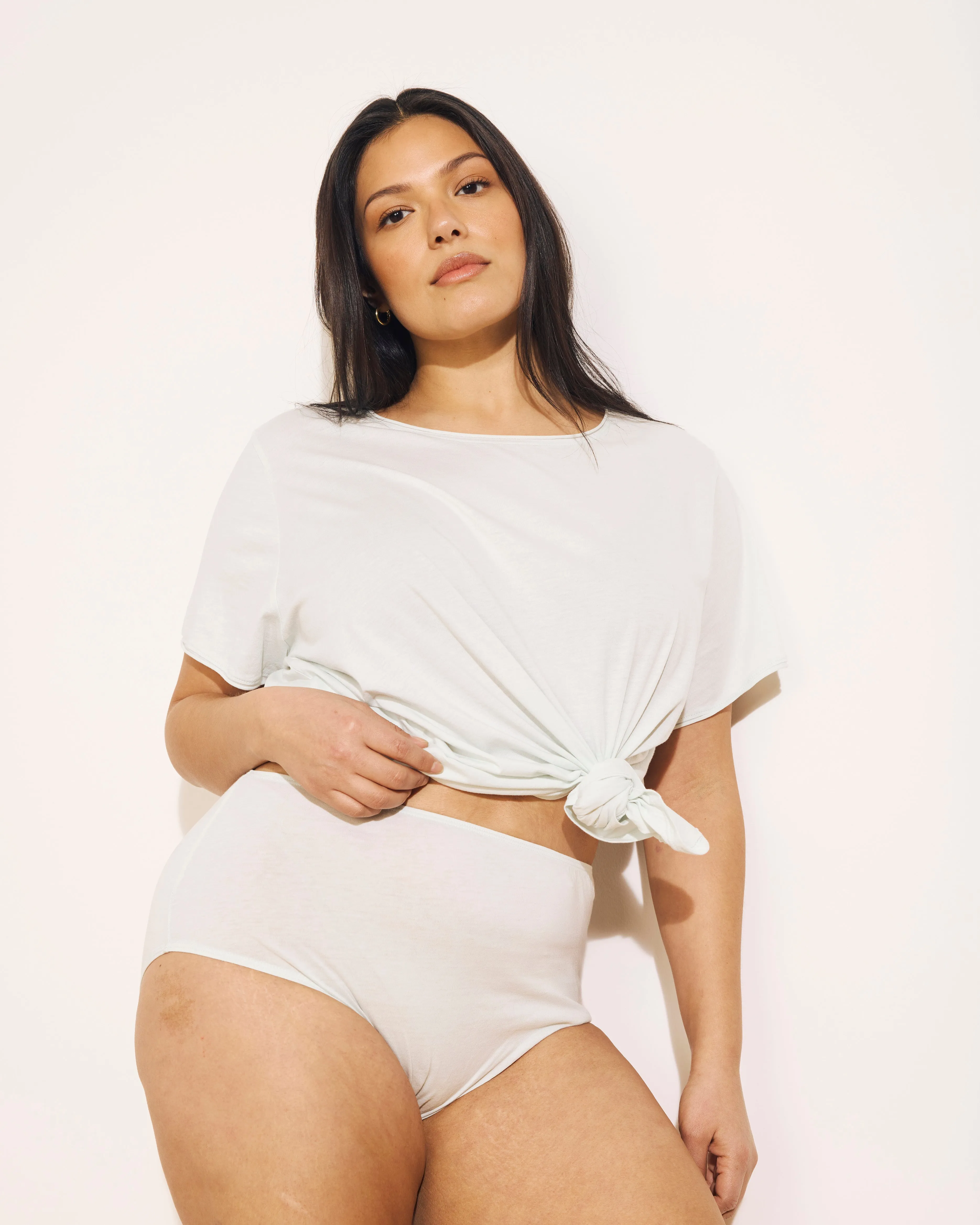 Pima Cotton Full Coverage Briefs - Hint of Mint sold by Universal Standard