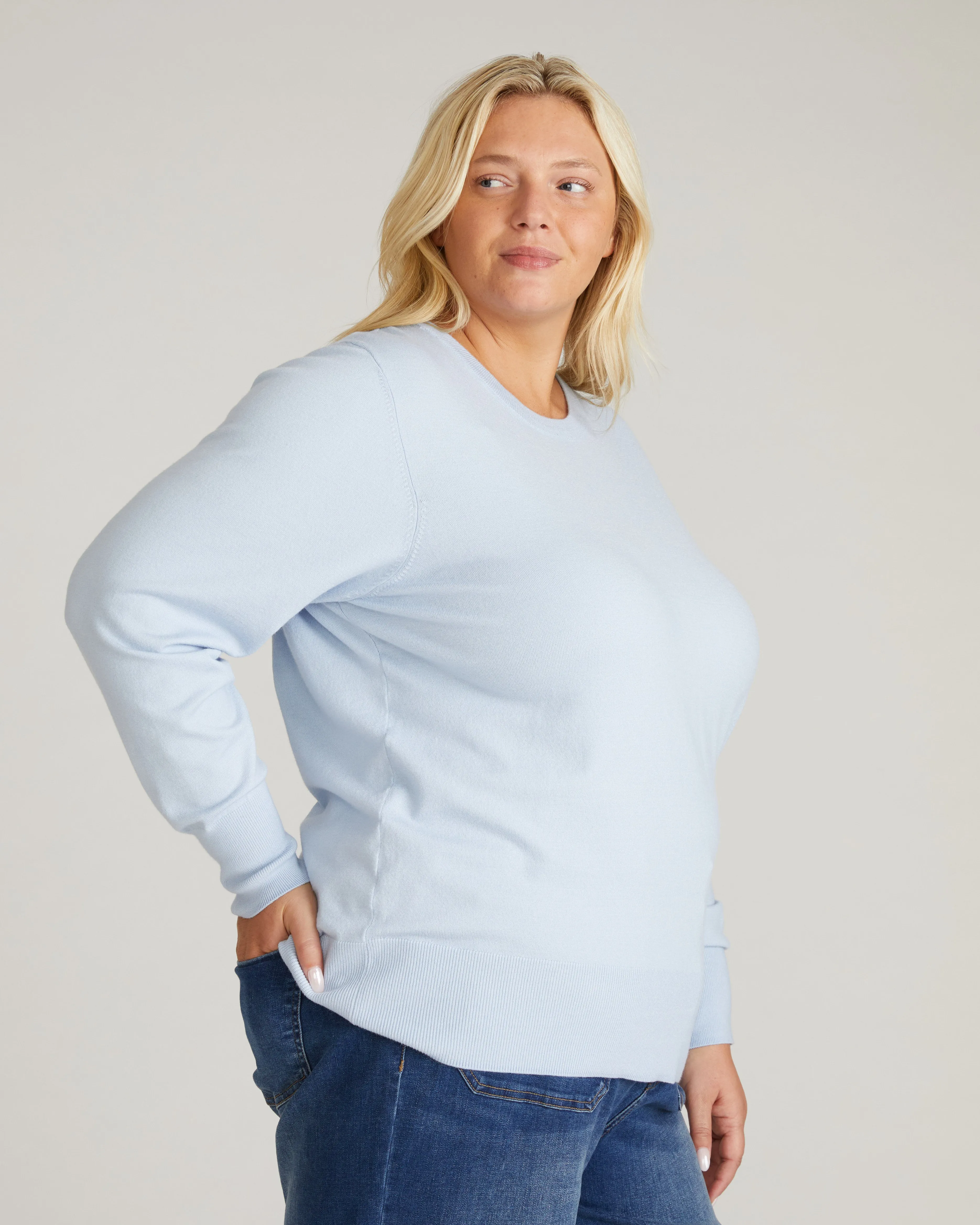 Savvy Fine Knit Crew Sweater - Silver Blue sold by Universal Standard product image thumbnail 2