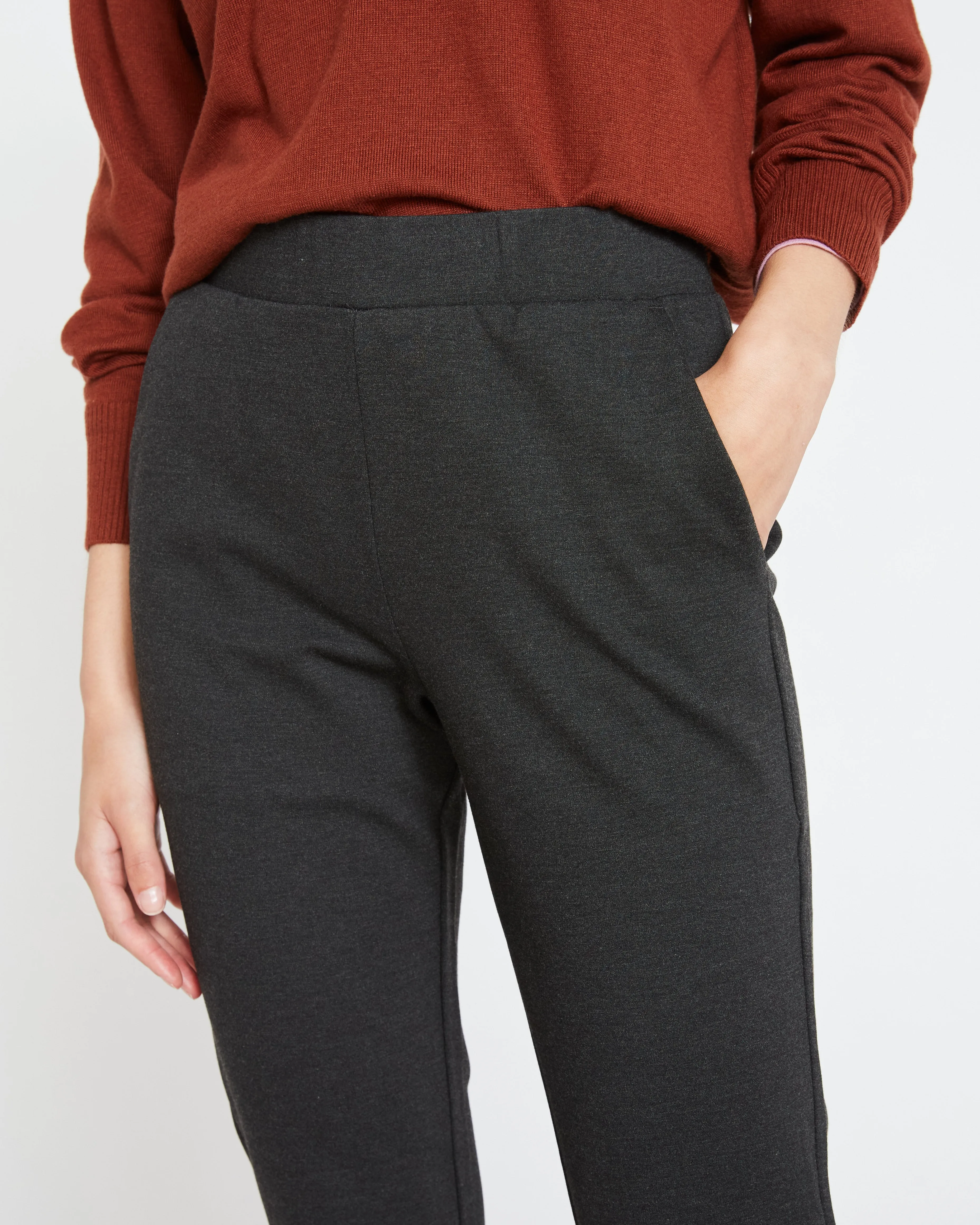 Minimalist Moro Pocket Signature Ponte Pants - Charcoal sold by Universal Standard product image thumbnail 4