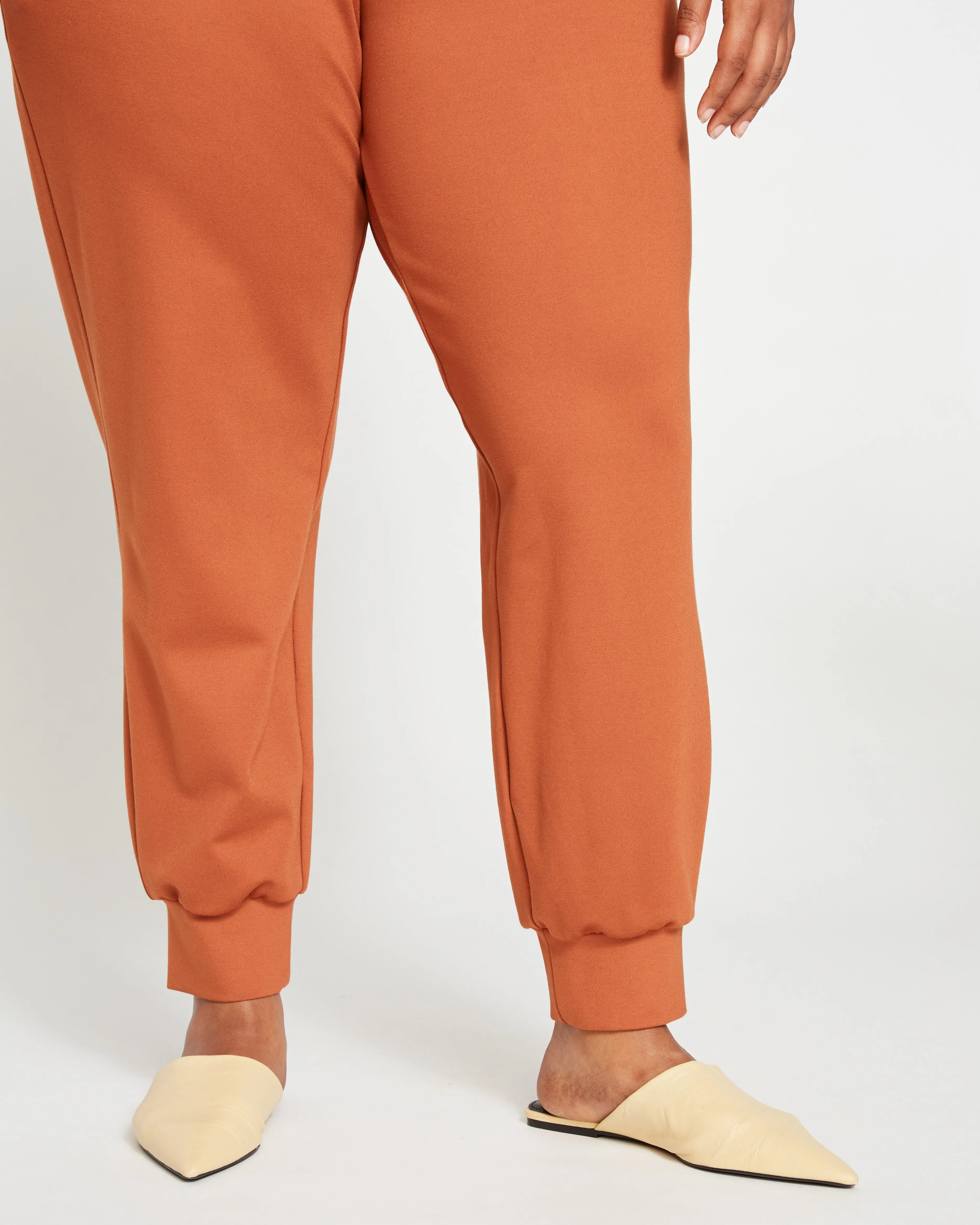 Luxe Laid-Back Ponte Joggers - Ginger sold by Universal Standard product image thumbnail 3