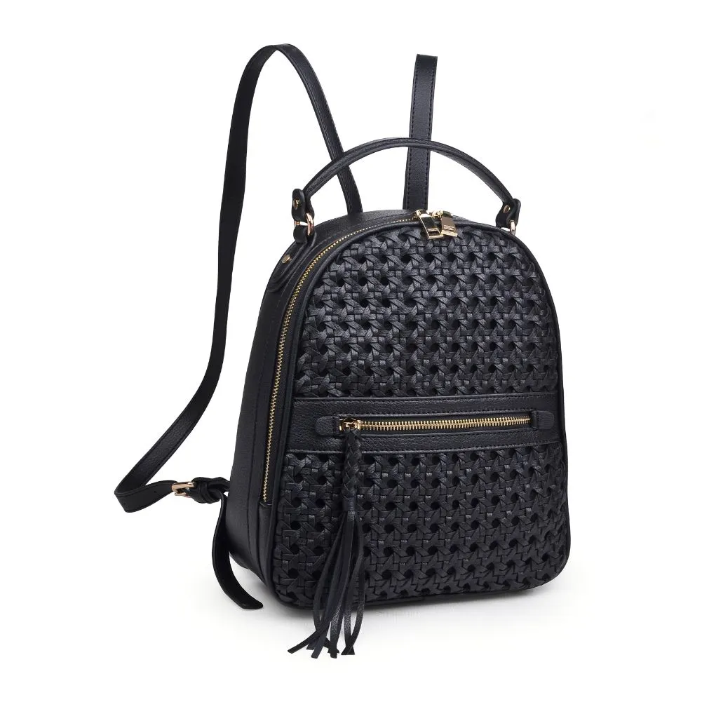 Sloan Backpack sold by Urban Expressions product image thumbnail 2