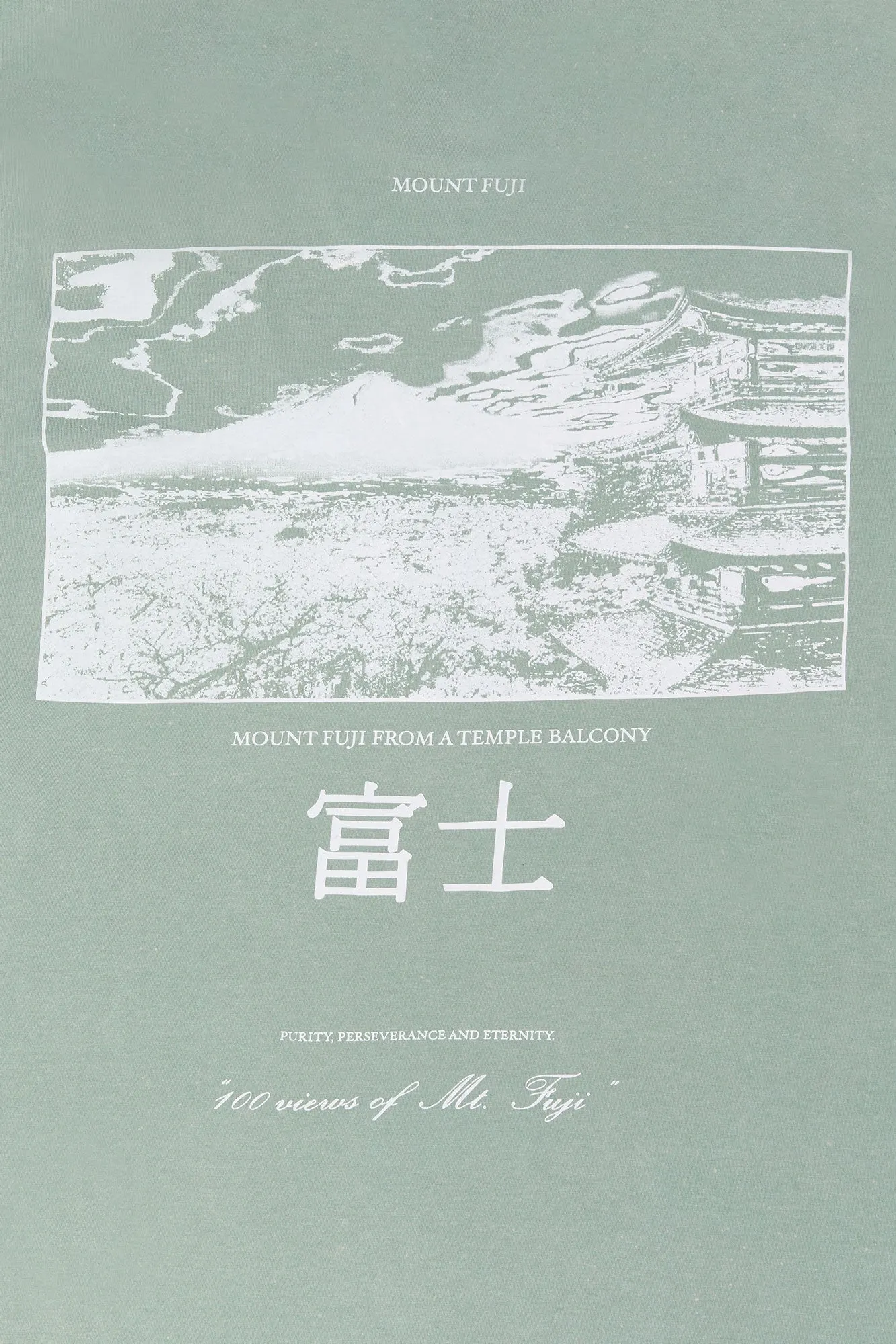 T-shirt à imprimé Mount Fuji sold by Urban Planet product image thumbnail 4