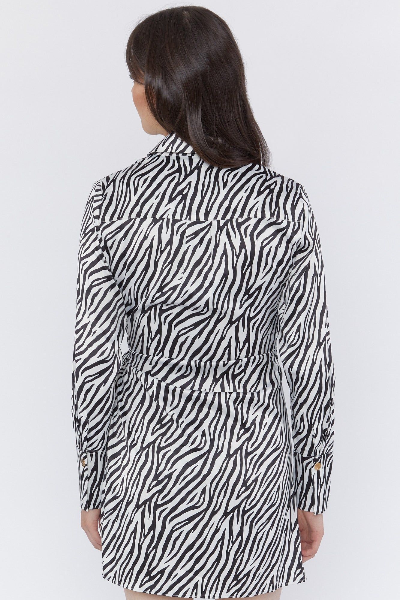 Zebra Print Tie Waist Long Sleeve Satin Wrap Dress sold by Urban Planet product image thumbnail 2