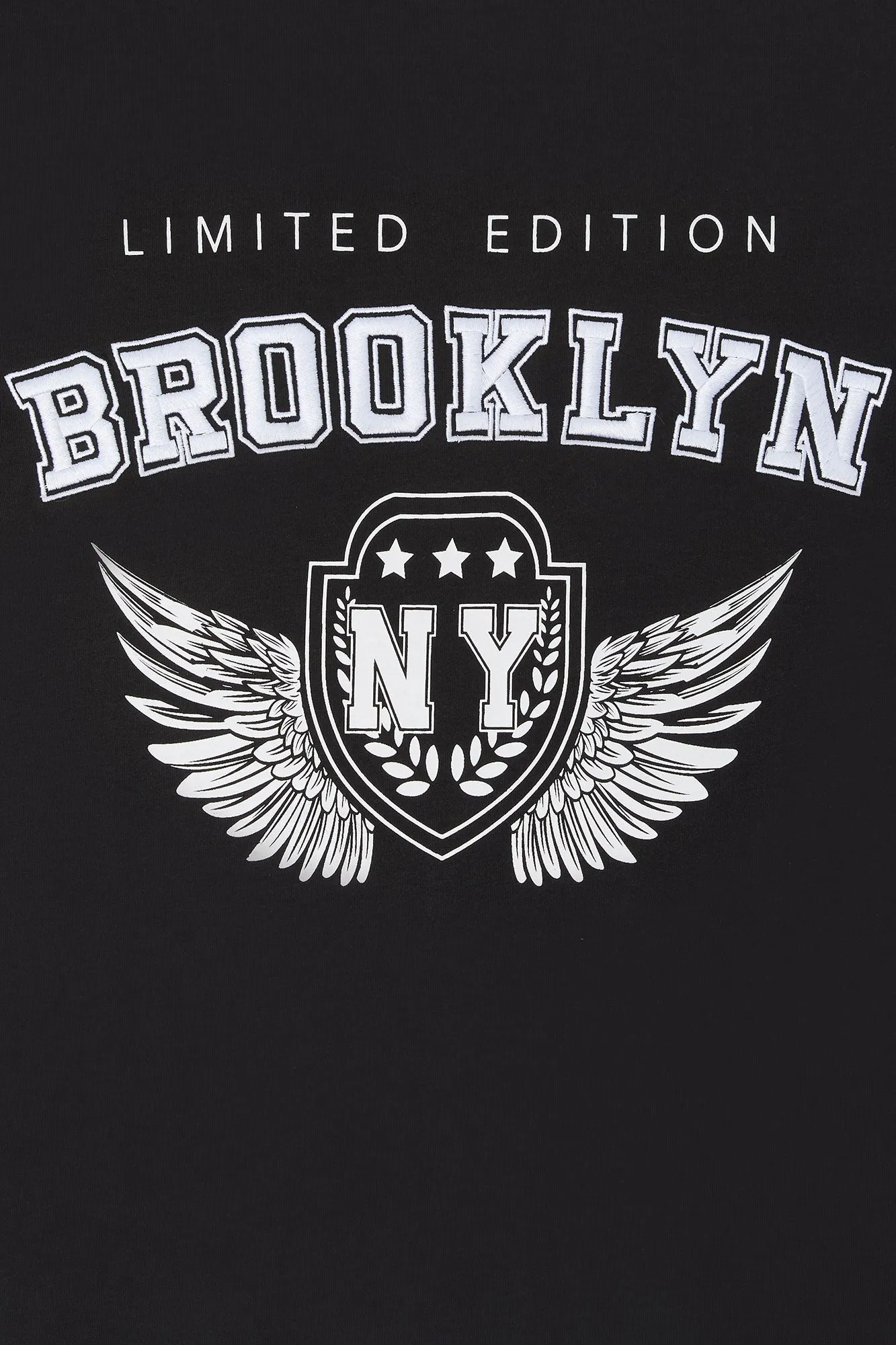 Brooklyn Embroidered Oversized T-Shirt sold by Urban Planet product image thumbnail 4