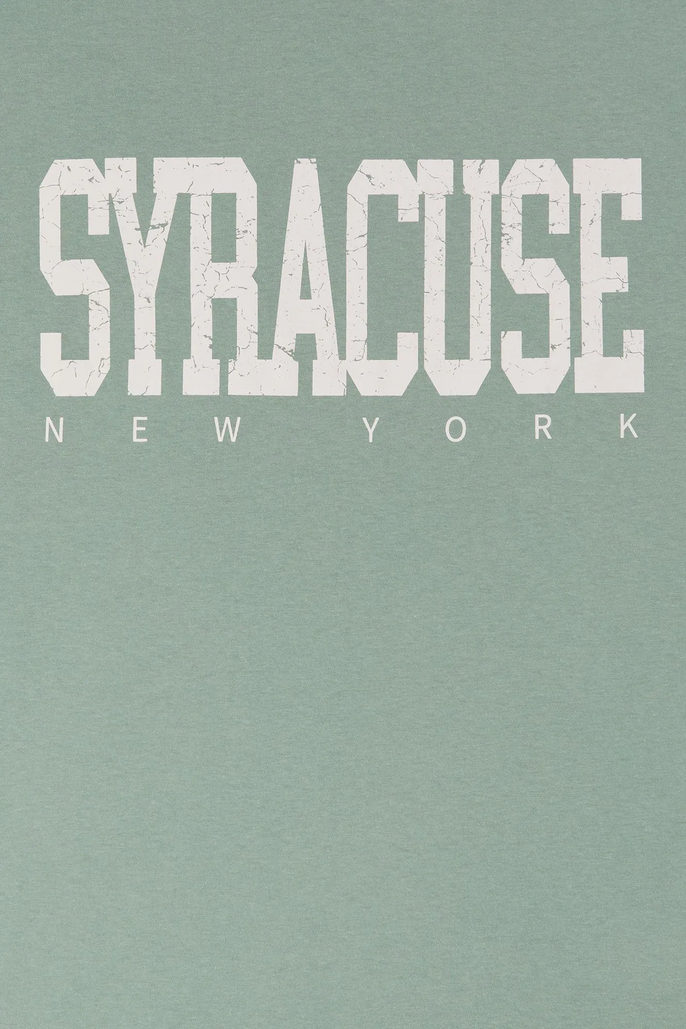 Syracuse Graphic T-Shirt sold by Urban Planet product image thumbnail 2