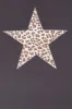 Cheetah Star Graphic Boyfriend T-Shirt sold by Urban Planet