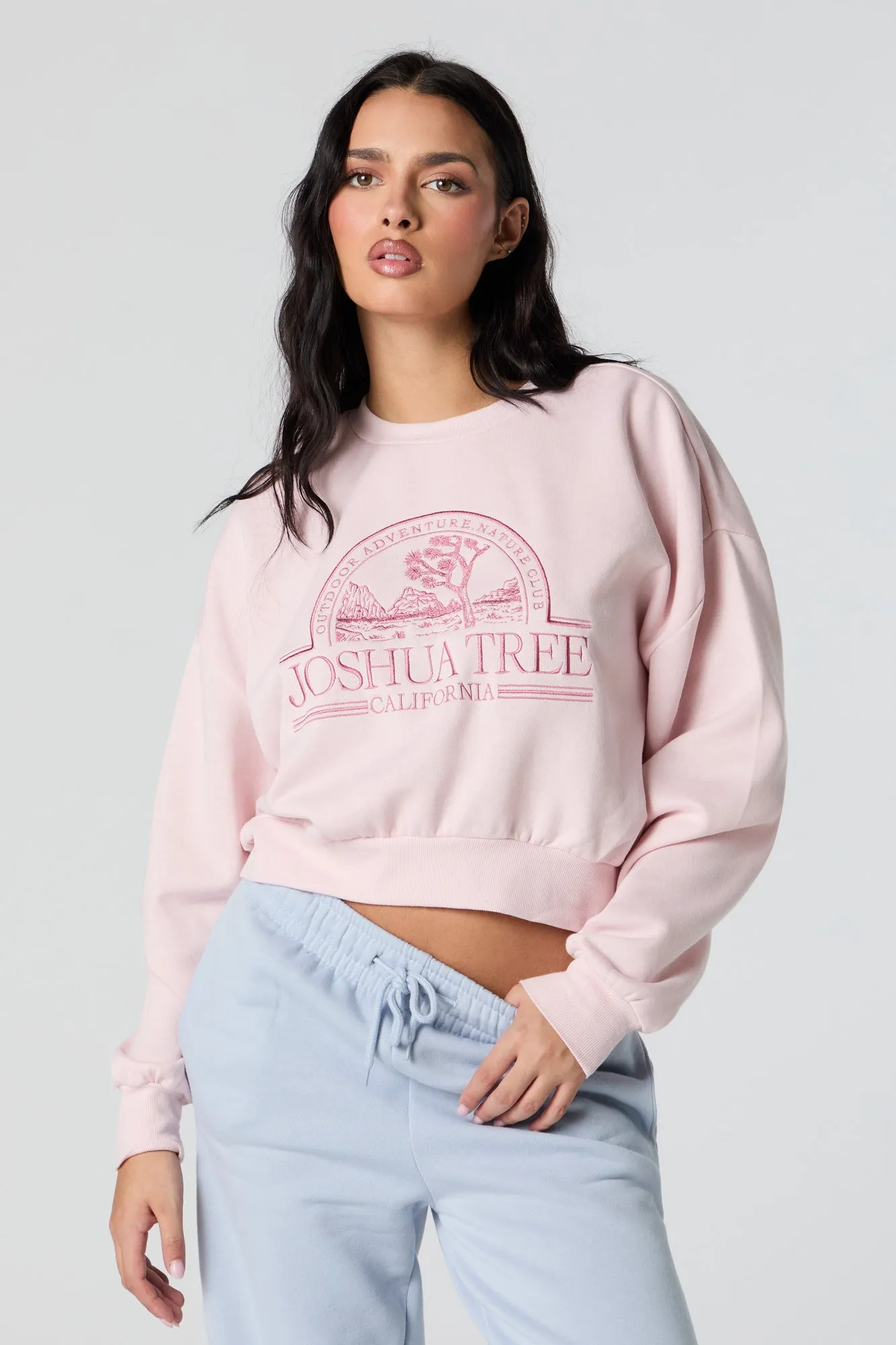 Joshua Tree Embroidered Cropped Fleece Sweatshirt sold by Urban Planet
