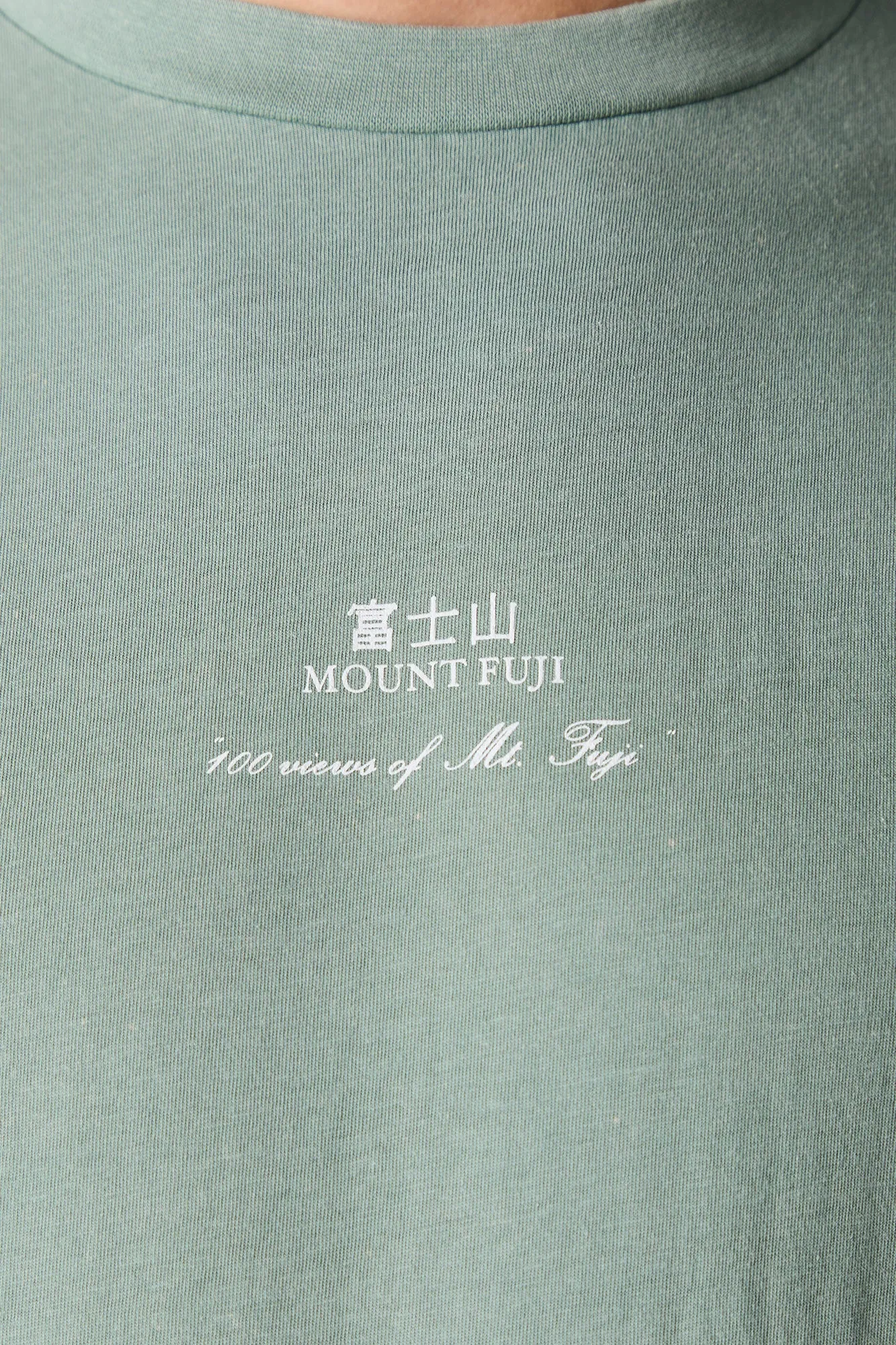 Mount Fuji Graphic T-Shirt sold by Urban Planet product image thumbnail 5