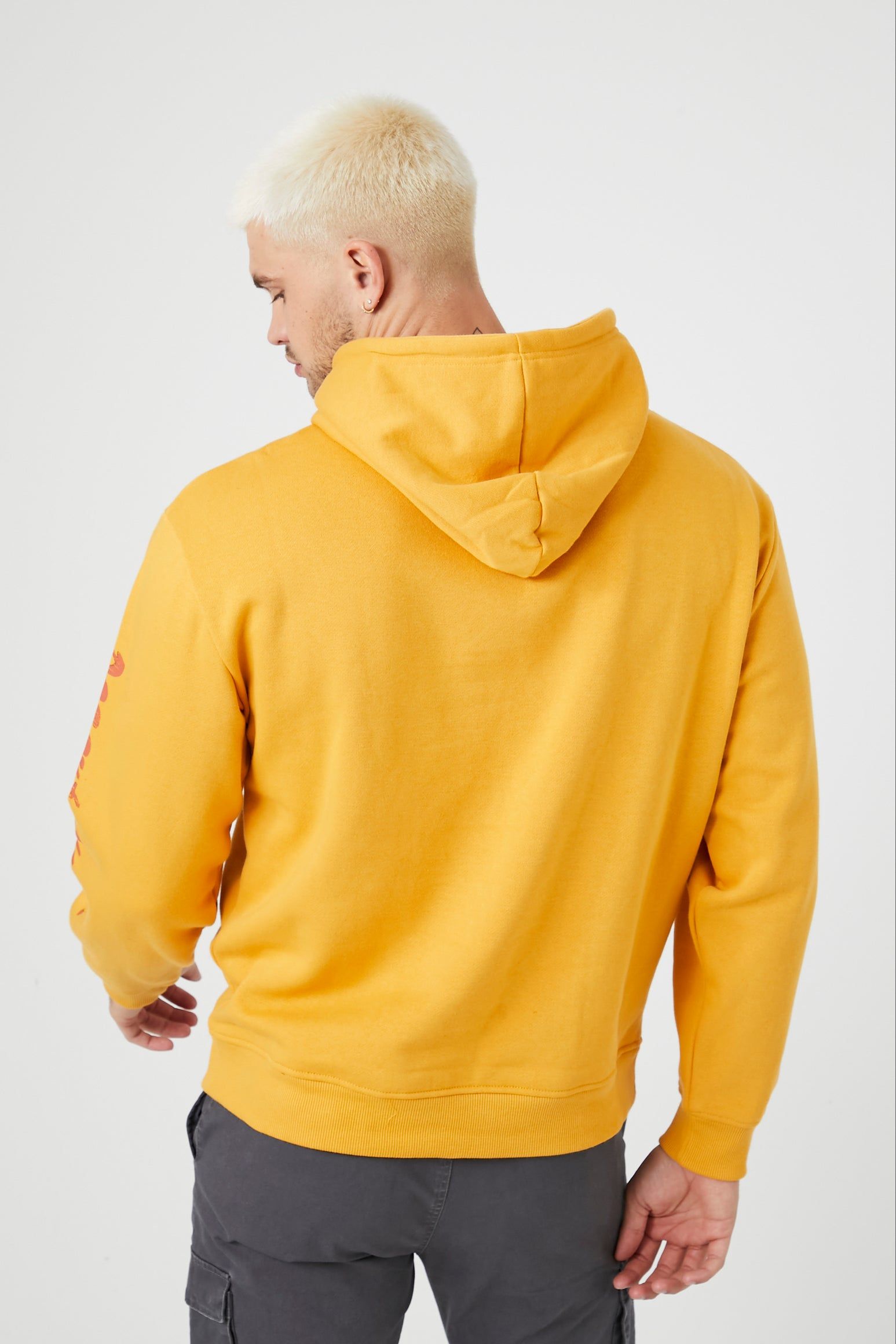 Roadtrip USA Graphic Hoodie sold by Urban Planet product image thumbnail 3