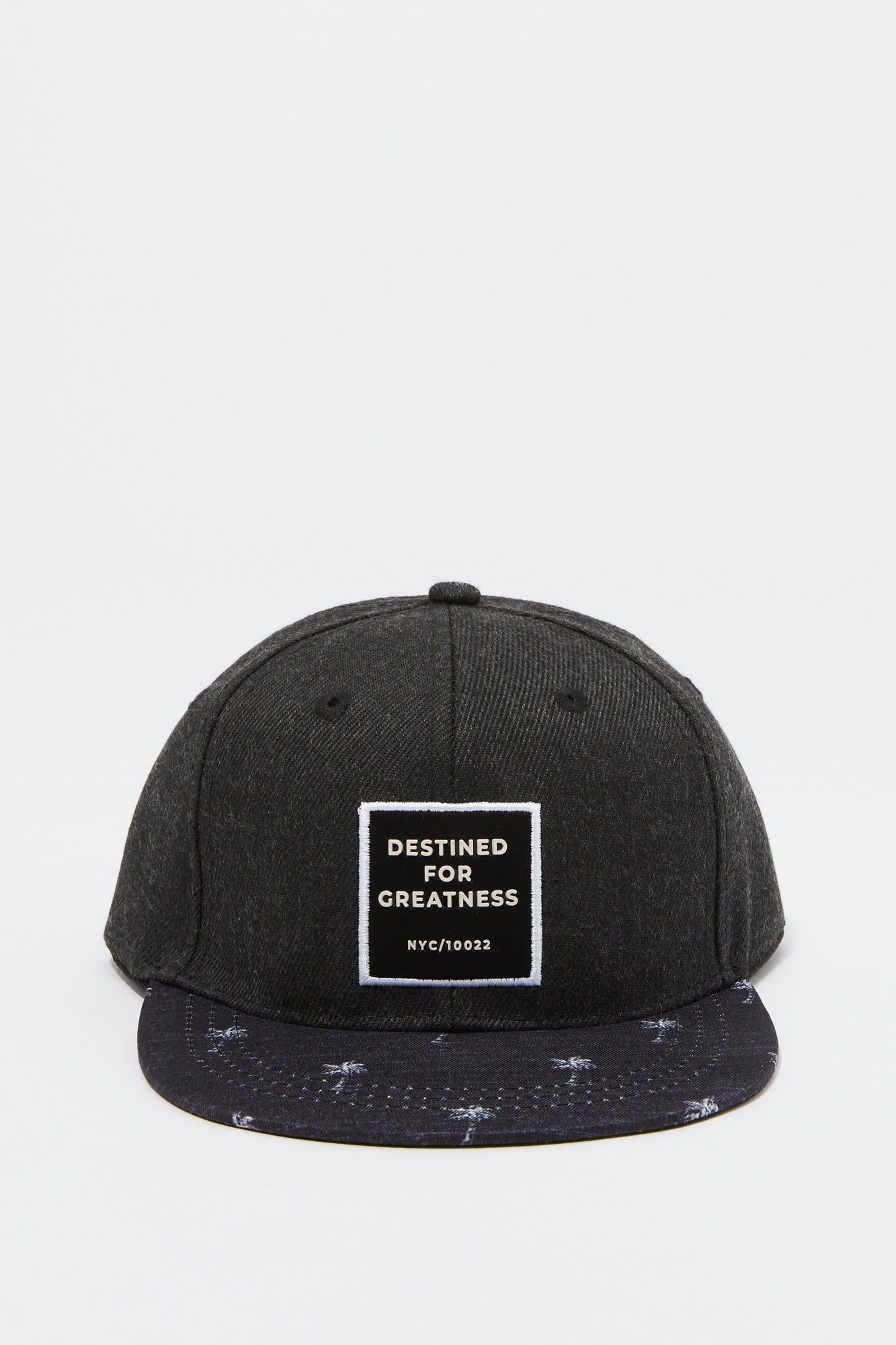 Casquette de baseball à imprimé Destined For Greatness Palmier pour garçon sold by Urban Planet