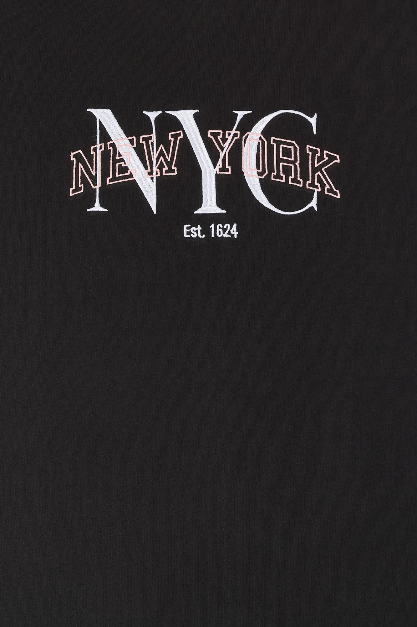 NYC Embroidered Graphic T-Shirt sold by Urban Planet product image thumbnail 4