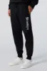 Destination Embroidered Fleece Jogger sold by Urban Planet