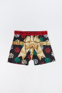 Christmas Present Print Boxer Brief sold by Urban Planet