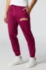 San Francisco Embroidered Fleece Jogger sold by Urban Planet