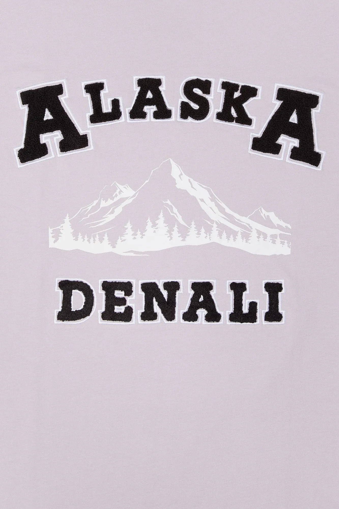 Alaska Embroidered T-Shirt sold by Urban Planet product image thumbnail 4