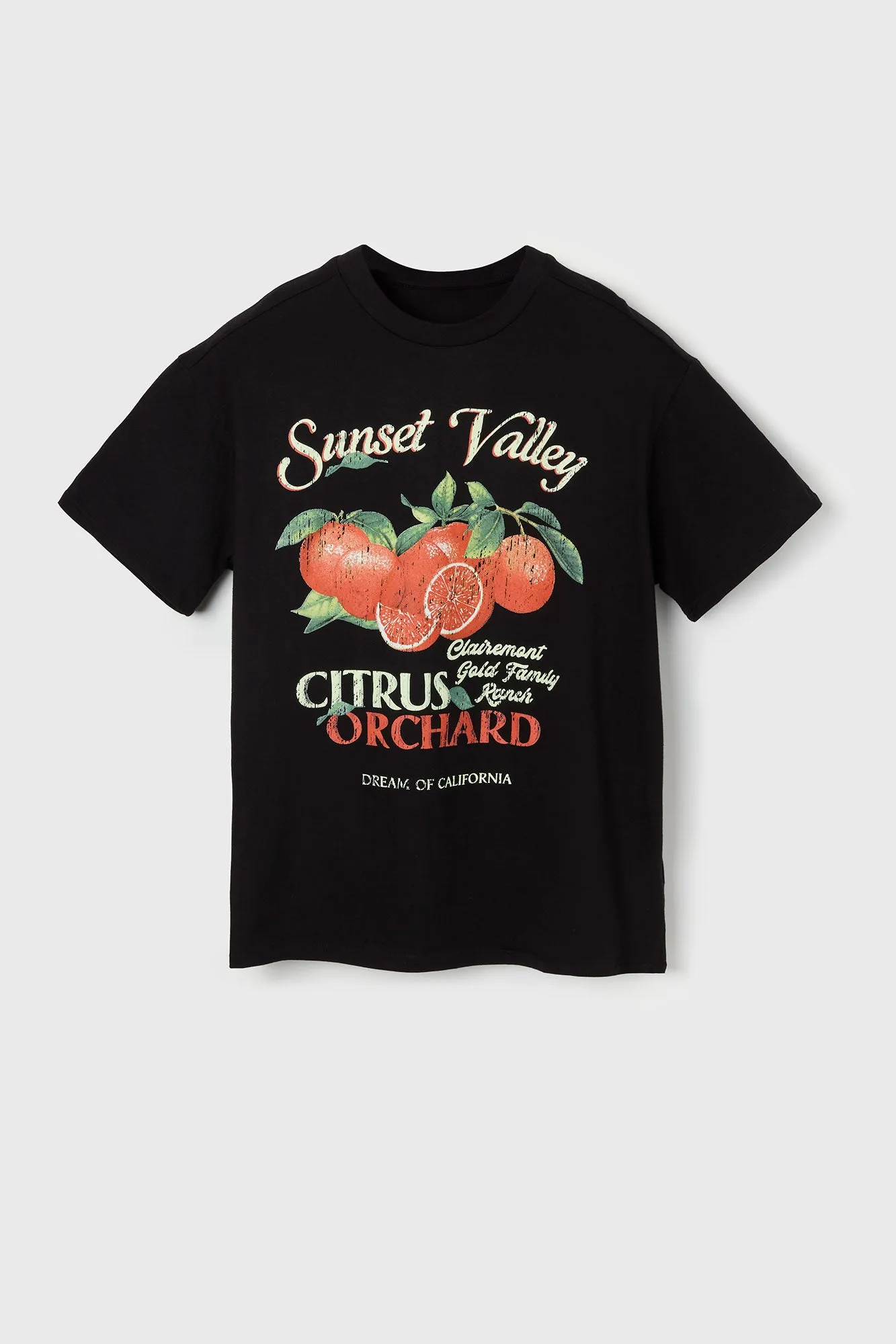 Sunset Valley Graphic T-Shirt sold by Urban Planet product image thumbnail 4