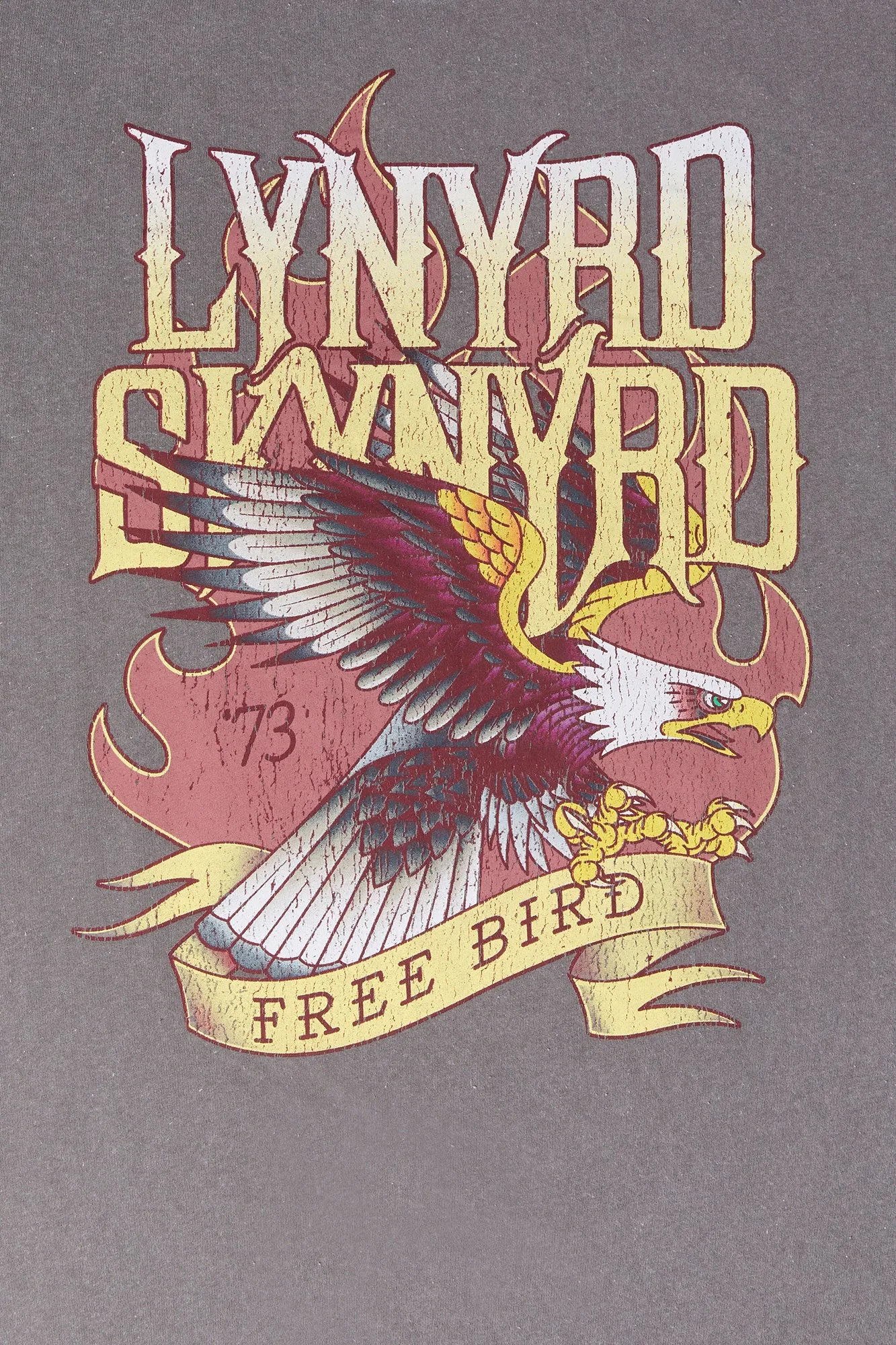 Lynyrd Skynyrd Graphic Boyfriend T-Shirt sold by Urban Planet product image thumbnail 2