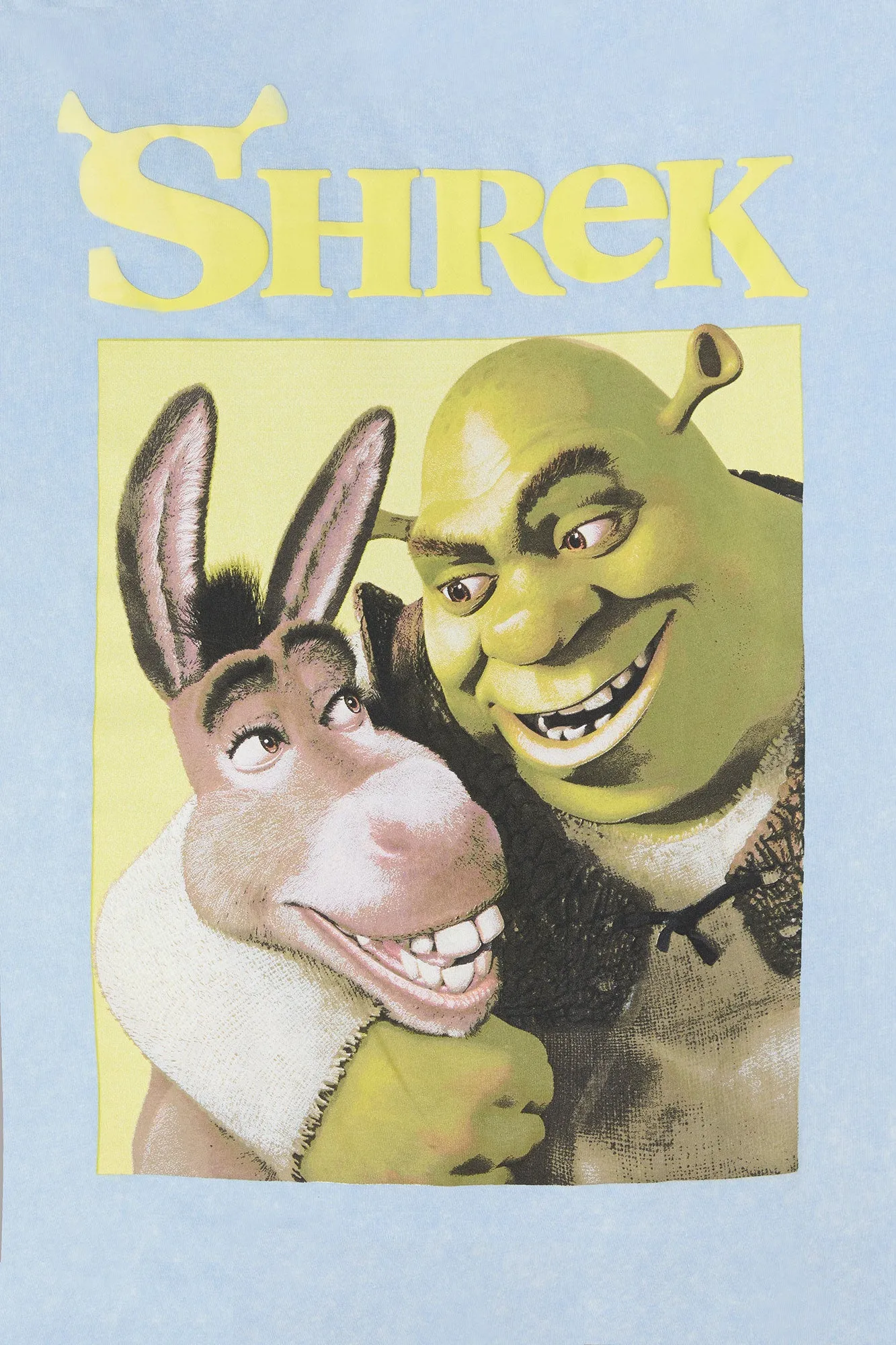 Shrek Graphic Boyfriend T-Shirt sold by Urban Planet product image thumbnail 2