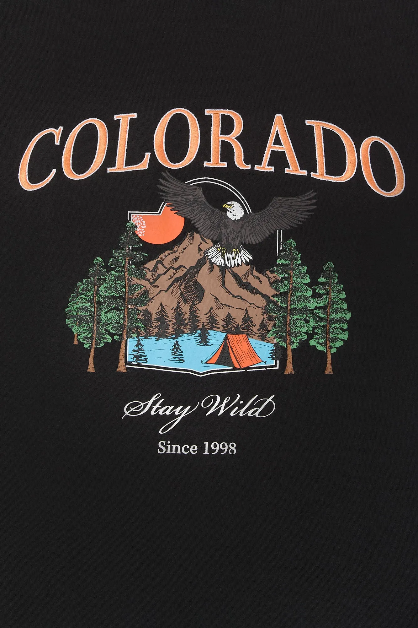Colorado Embroidered Oversized T-Shirt sold by Urban Planet product image thumbnail 4