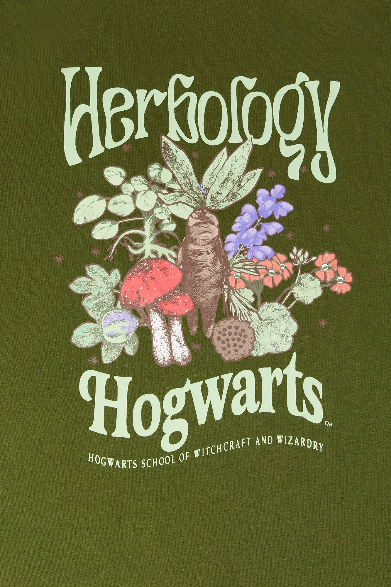 Herbology Hogwarts Graphic Boyfriend T-Shirt sold by Urban Planet product image thumbnail 2