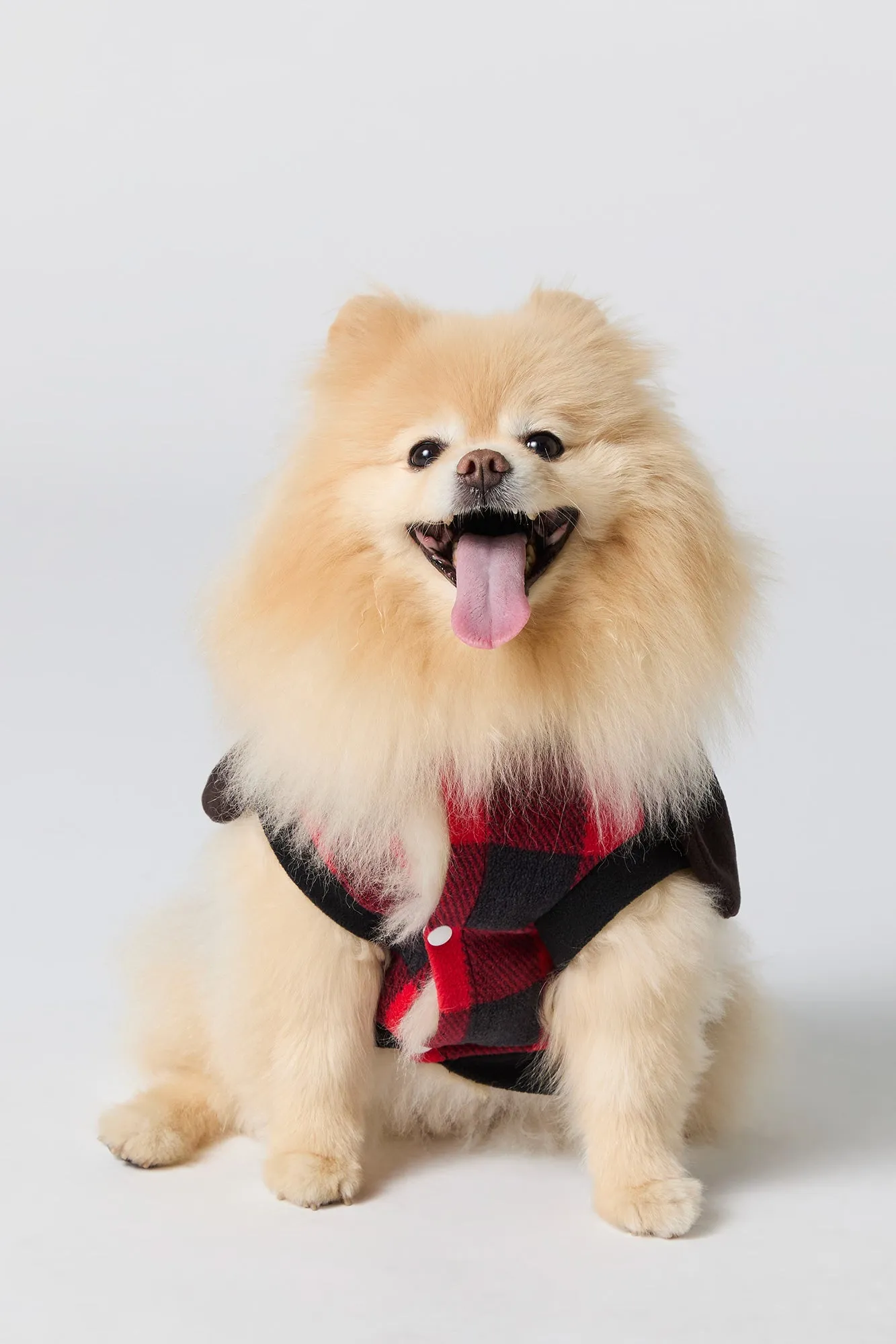 3D Moose Pet Onesie sold by Urban Planet product image thumbnail 3