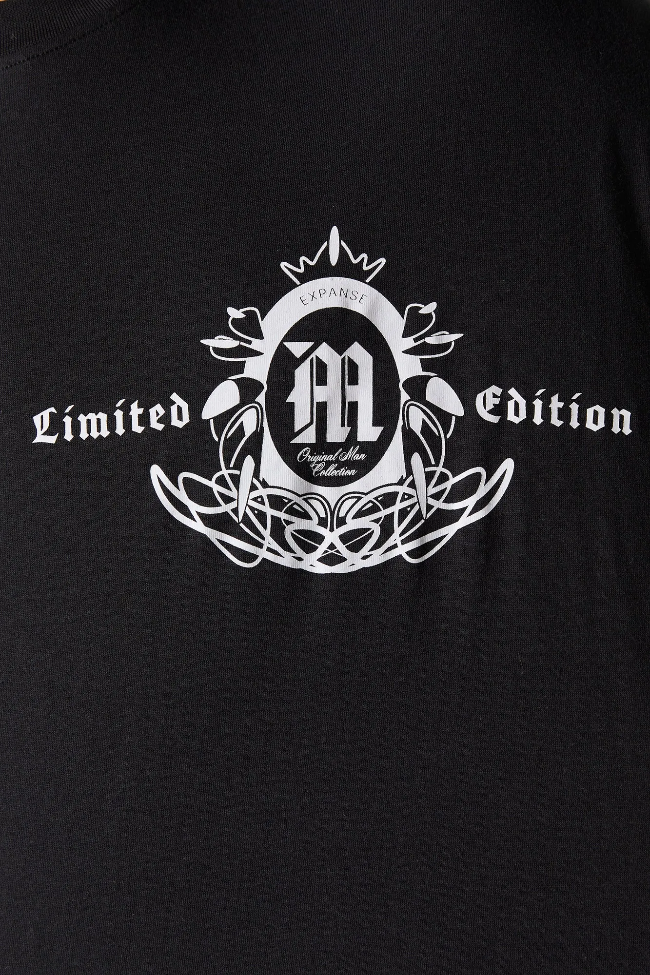 Limited Edition Graphic Relaxed T-Shirt sold by Urban Planet product image thumbnail 4