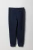 Boys Embroidered Graphic Fleece Jogger sold by Urban Planet
