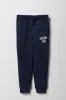 Boys Embroidered Graphic Fleece Jogger sold by Urban Planet