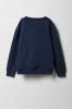 Boys Embroidered Graphic Fleece Sweatshirt sold by Urban Planet