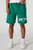 New York Embroidered Graphic Fleece Short sold by Urban Planet