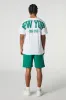 New York Embroidered Graphic Fleece Short sold by Urban Planet