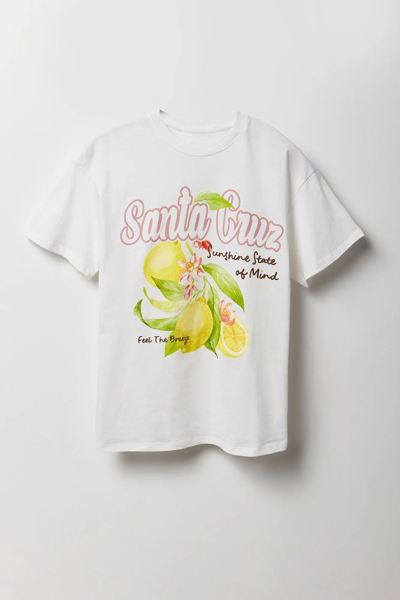 Santa Cruz Graphic Boyfriend T-Shirt sold by Urban Planet product image thumbnail 4
