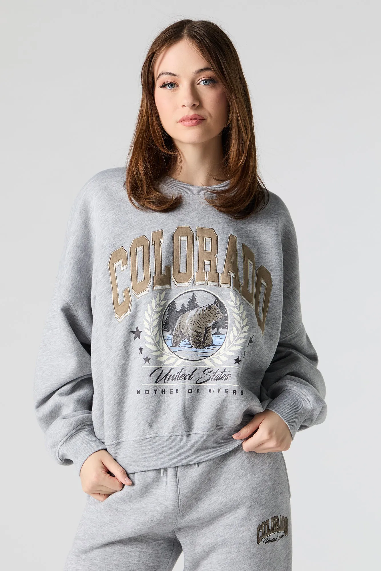 Embroidered Fleece Sweatshirt sold by Urban Planet product image thumbnail 5