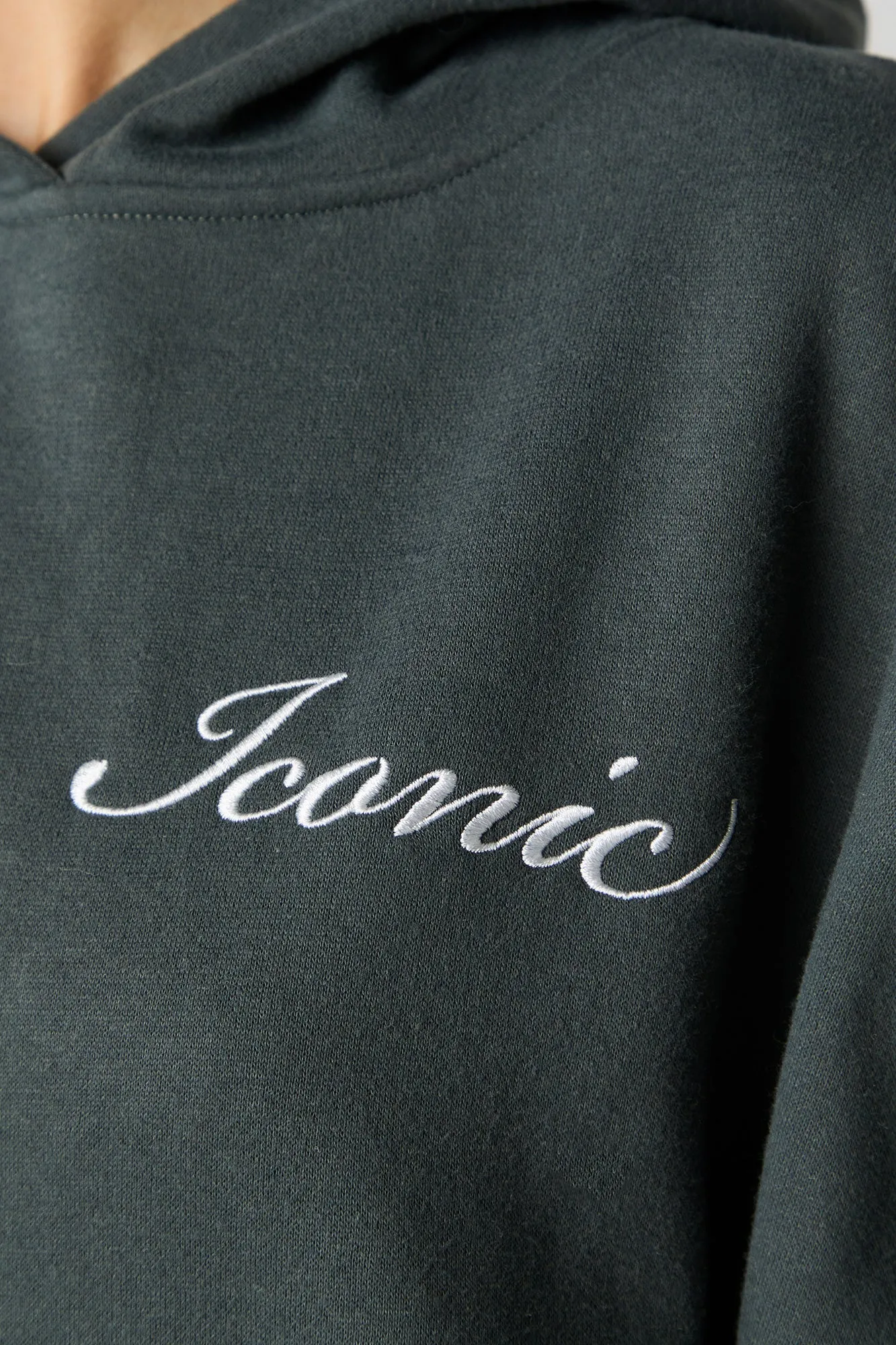 Iconic Embroidered Oversized Fleece Hoodie sold by Urban Planet product image thumbnail 4