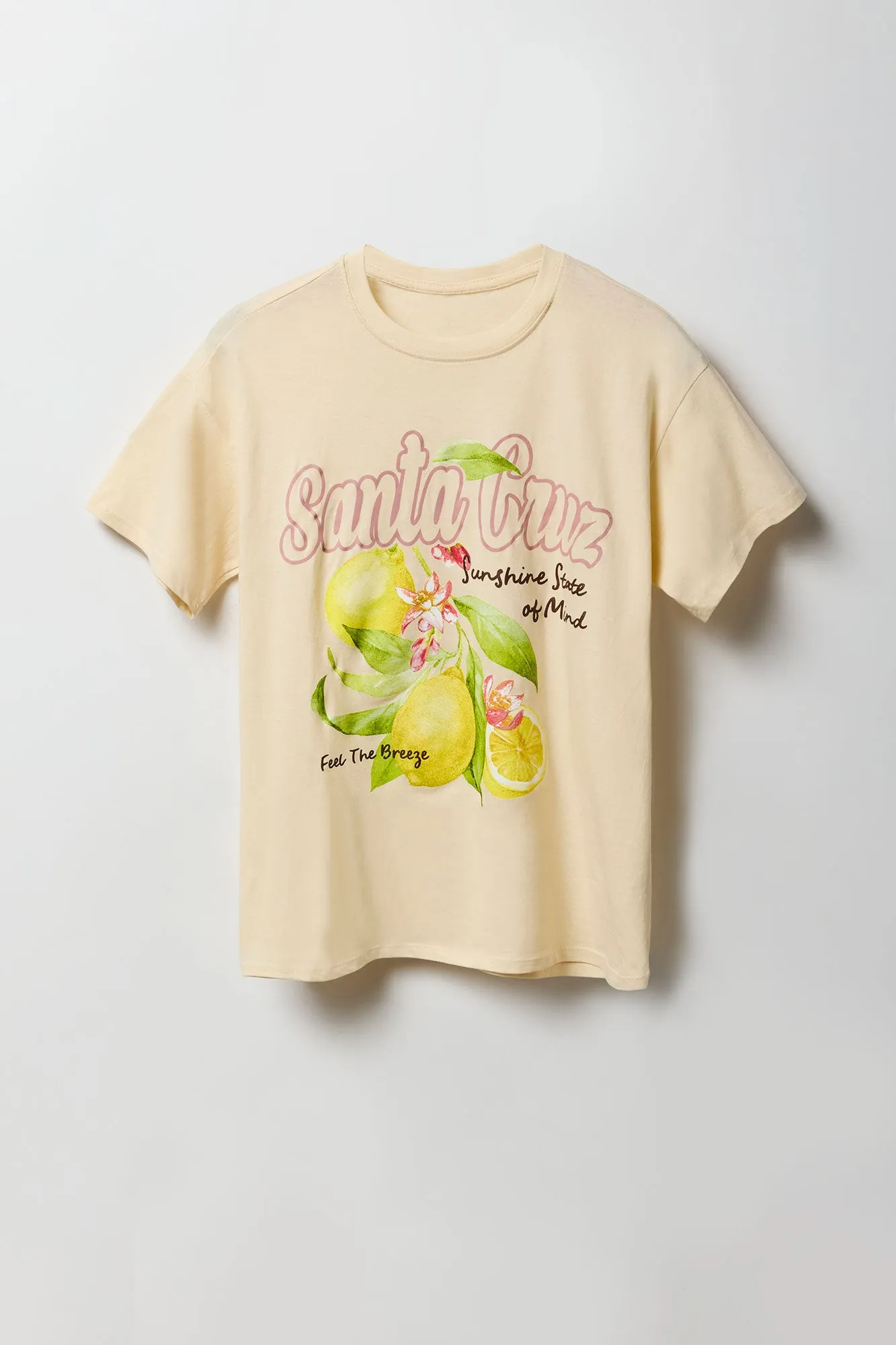 T-shirt de coupe garçonne à imprimé Santa Cruz sold by Urban Planet