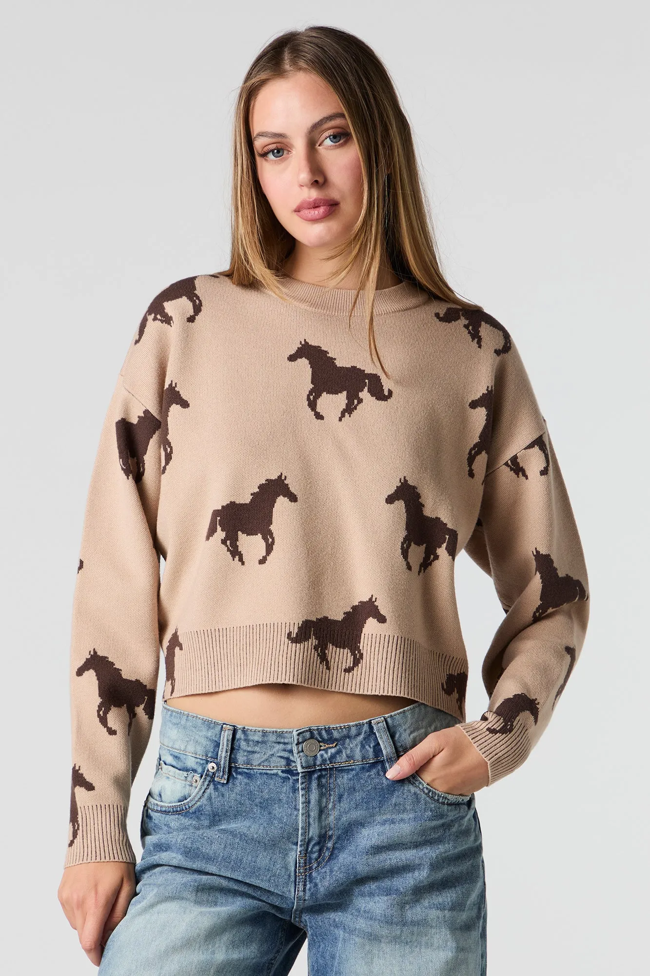 Jacquard Knit Crop Sweater sold by Urban Planet